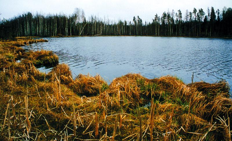 File:Teringi MKA_Alatsi järv.jpg